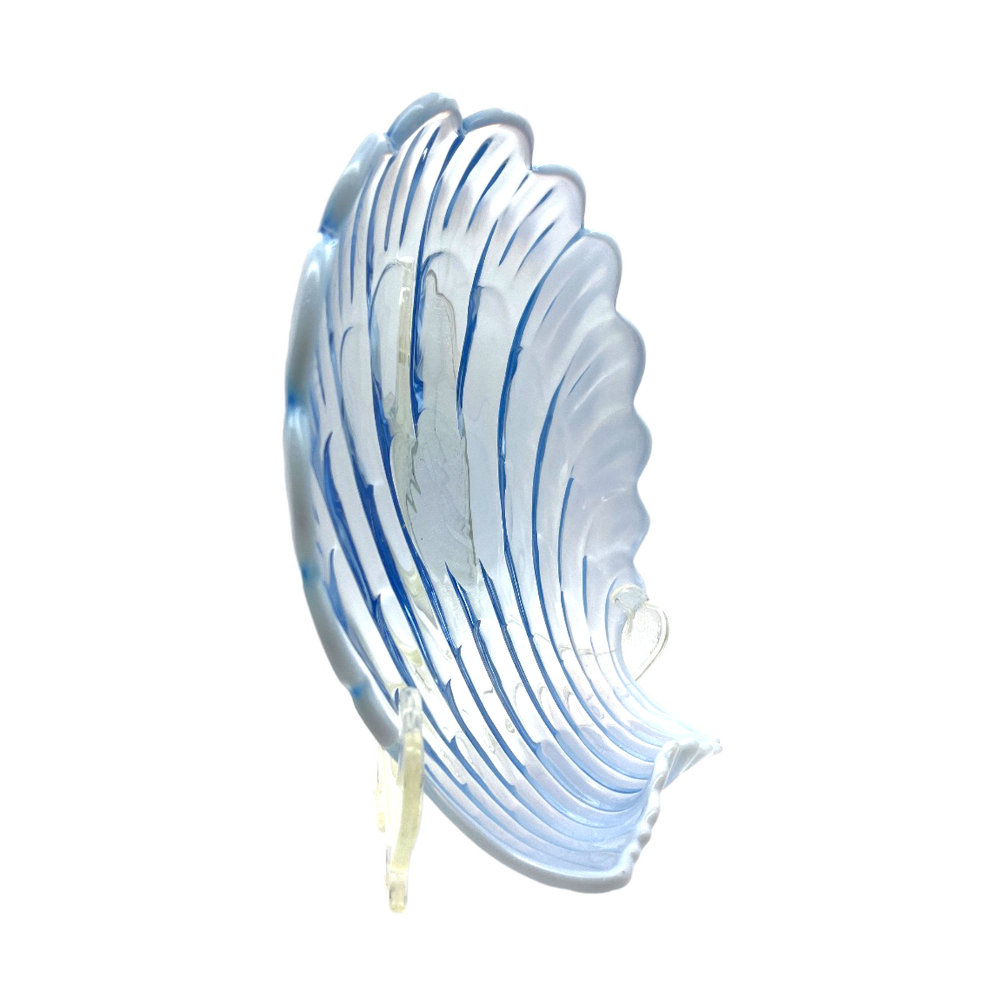 Duncan & Miller Sanibell Blue Opalescent Shell Centerpiece - XL - 4"