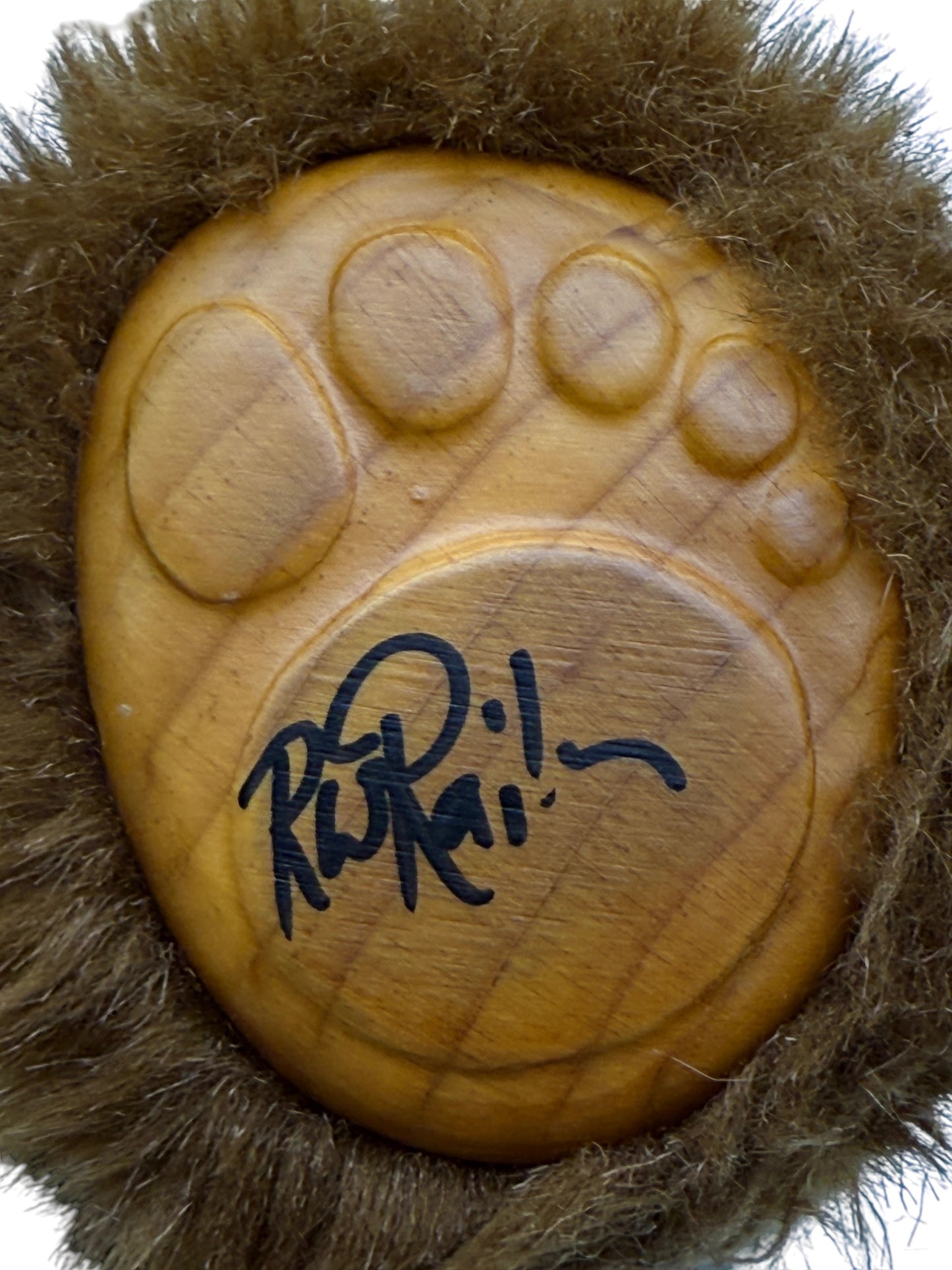 Raikes Bears - Wood Faced - Brian & Sport - Limited To 10000 - Jointed - 16"
