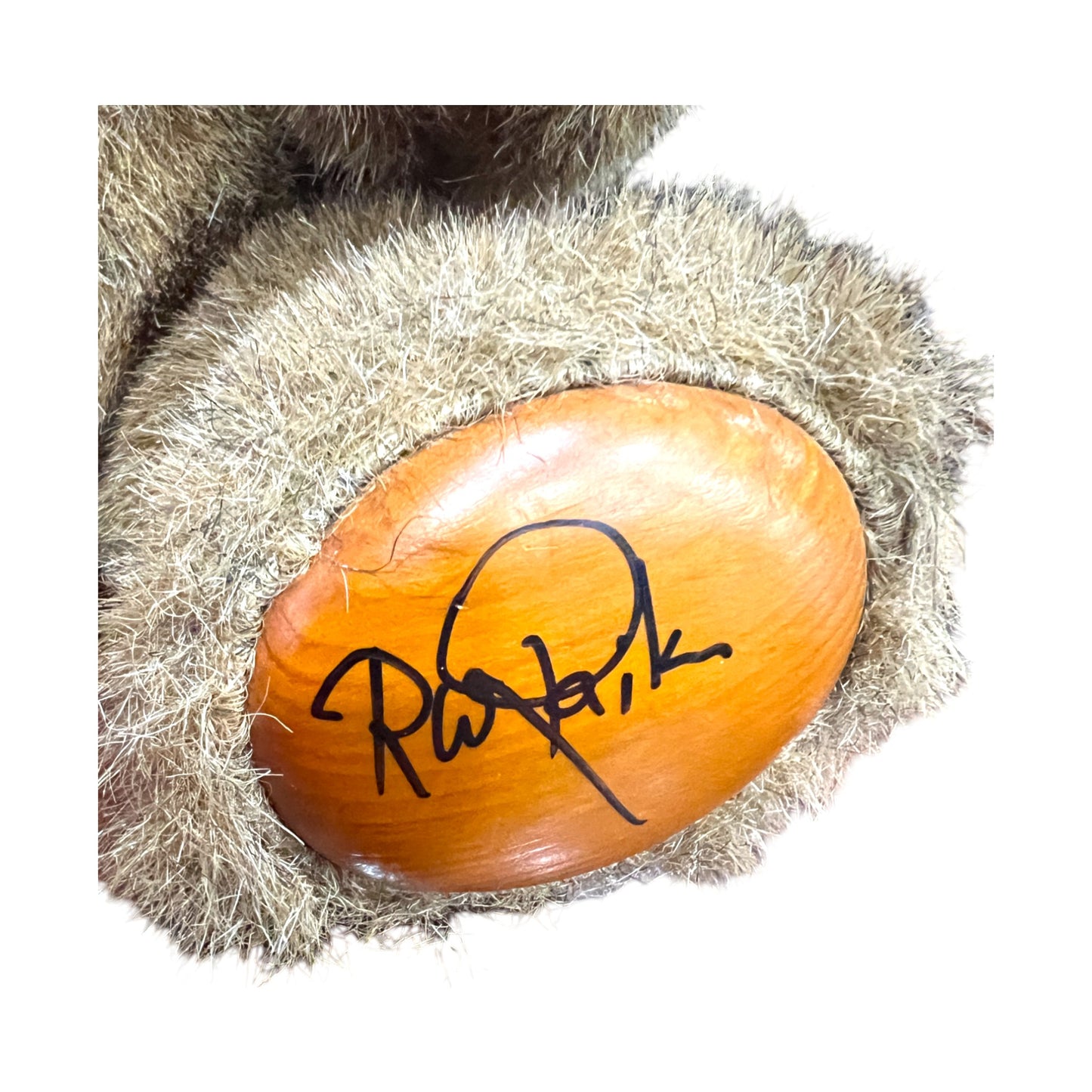 Raikes Bears - Sherwood #5452 - Signed By Robert Raikes - 12"