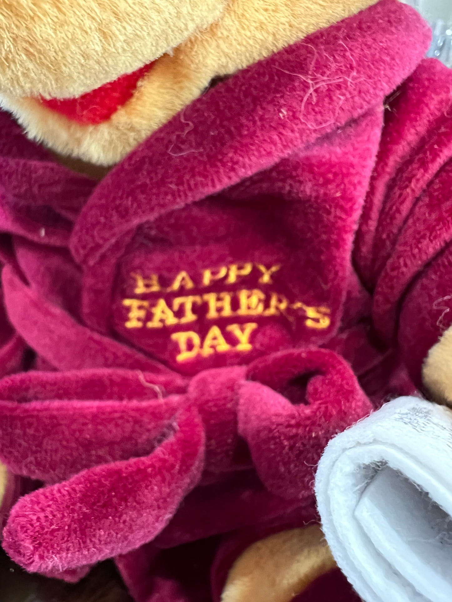 Disney Store - Happy Fathers Day Pooh - Vintage - 12"