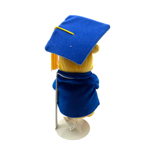 Disney Store - Graduation 2003 Pooh Mini Bean Bag - 8"