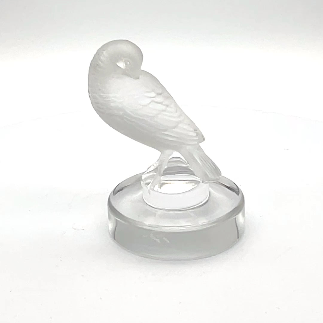 Lalique - Turtledove - 3"